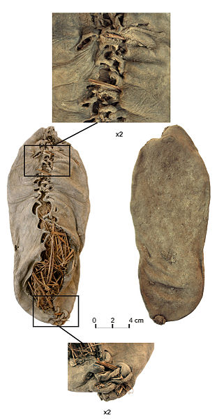 311px-Chalcolithic_leather_shoe_from_Areni-1_cave